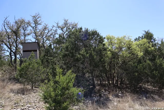 462 Schenk-Witkowski Rocksprings, TX 78880