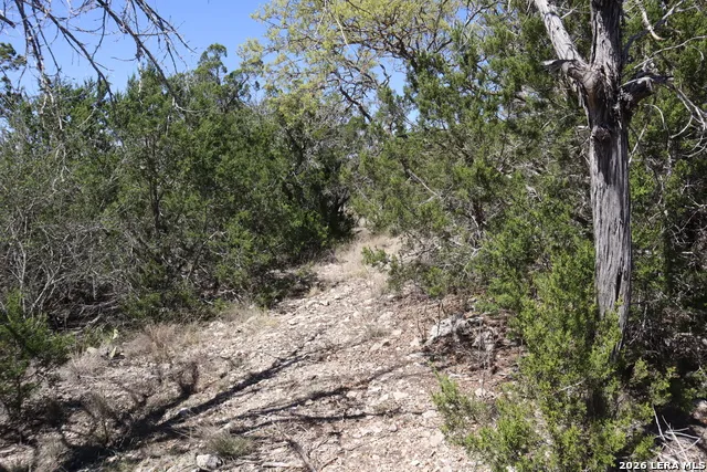 462 Schenk-Witkowski Rocksprings, TX 78880