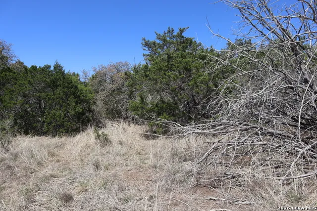 462 Schenk-Witkowski Rocksprings, TX 78880