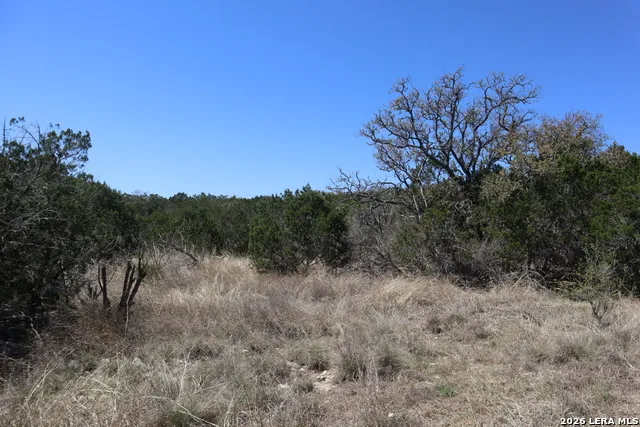 462 Schenk-Witkowski Rocksprings, TX 78880