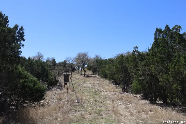 462 Schenk-Witkowski Rocksprings, TX 78880
