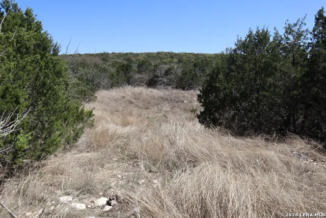 462 Schenk-Witkowski Rocksprings, TX 78880
