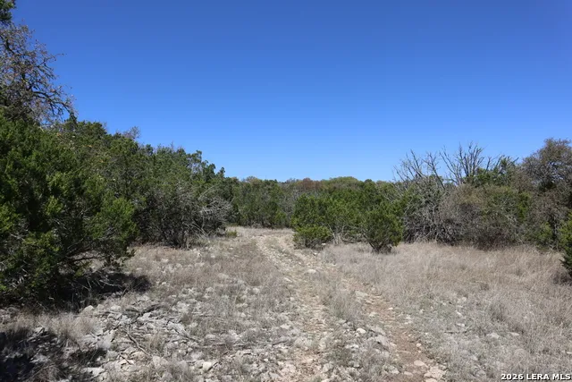 462 Schenk-Witkowski Rocksprings, TX 78880