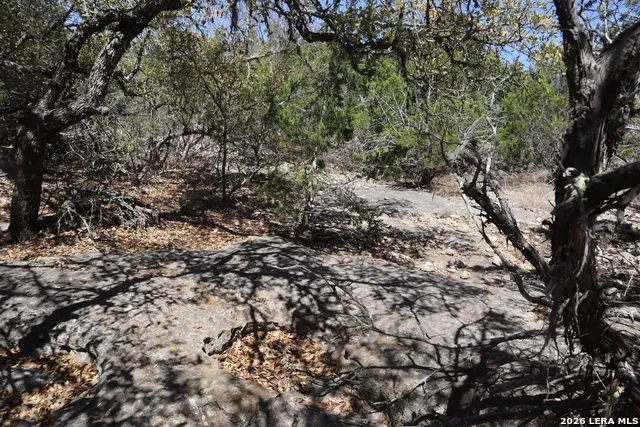 462 Schenk-Witkowski Rocksprings, TX 78880