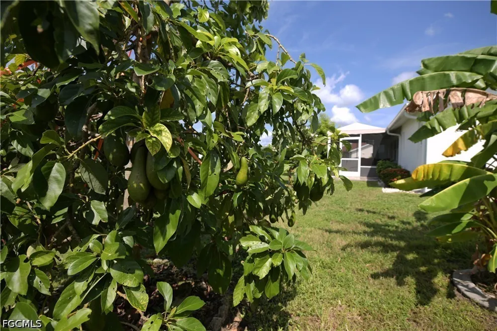 Sabal Springs Boulevard SE North Fort Myers, FL 33917