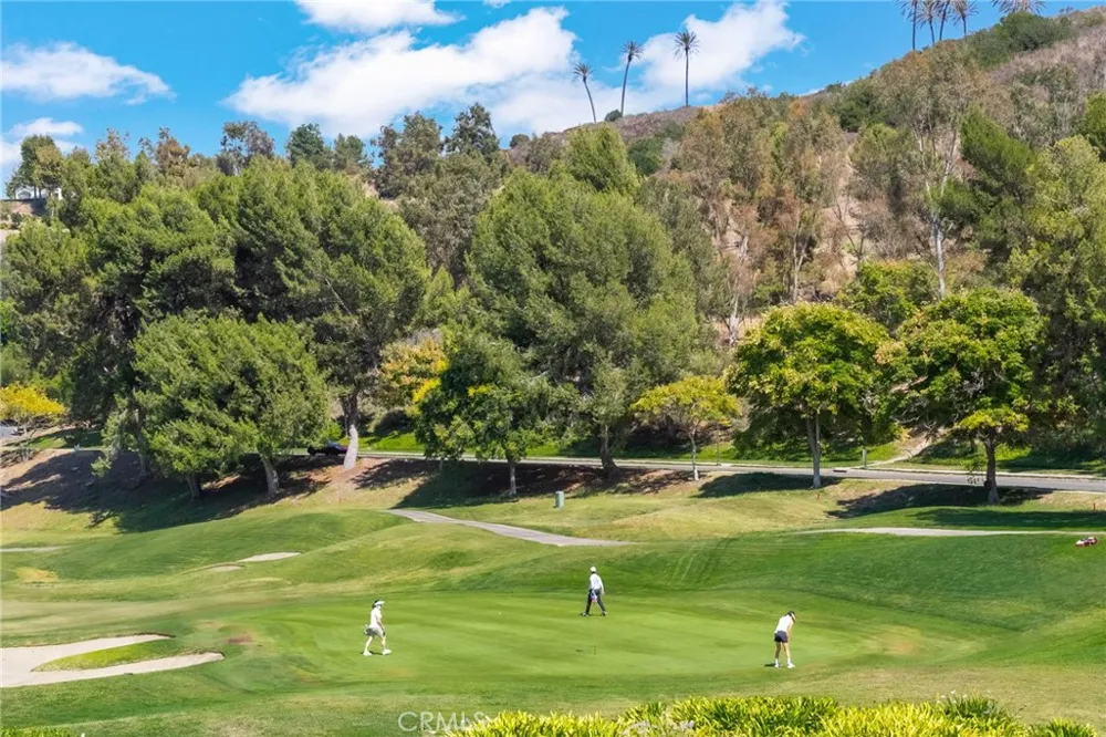 12 Plaza Baja Del Sol San Juan Capistrano, CA 92675