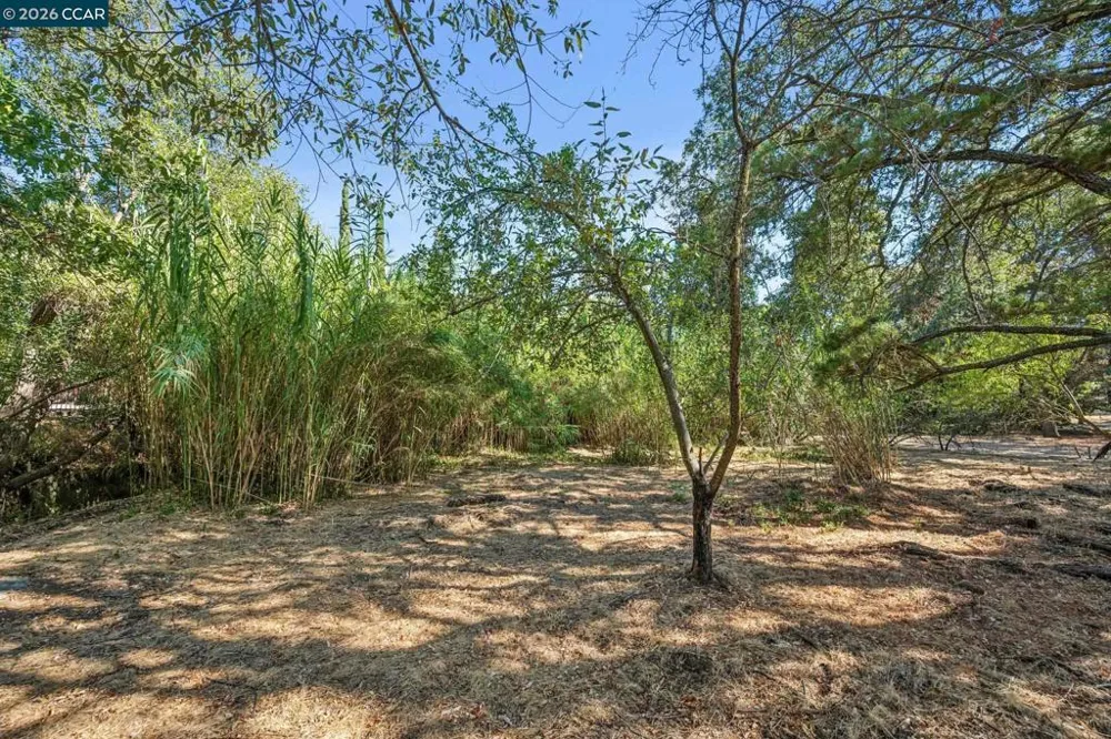 3386 Cowell Rd Concord, CA 94518