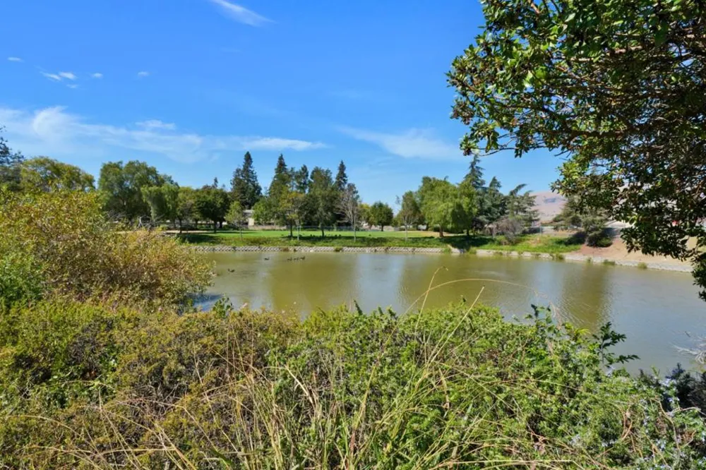 1079 Abbott Avenue Milpitas, CA 95035