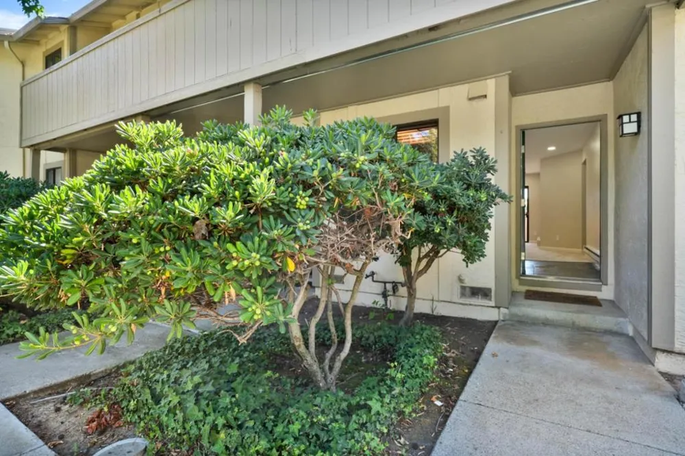 1079 Abbott Avenue Milpitas, CA 95035