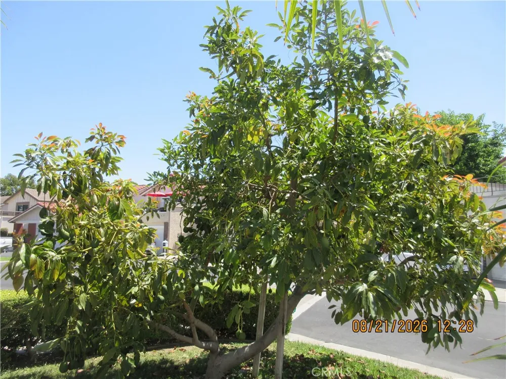 6777 Ossabaw Court Cypress, CA 90630