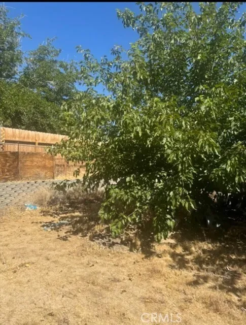 17821 Longmeadow Palmdale, CA 93591