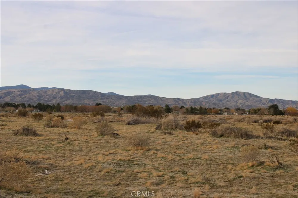 2 E Avenue S2 Sun Village, CA 93543