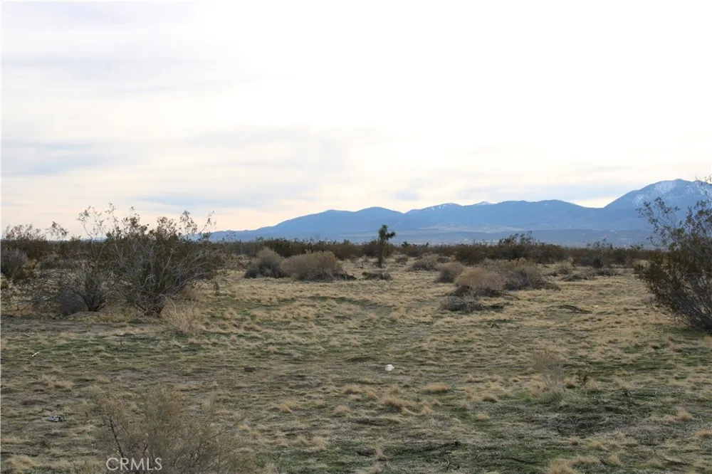 2 E Avenue S2 Sun Village, CA 93543