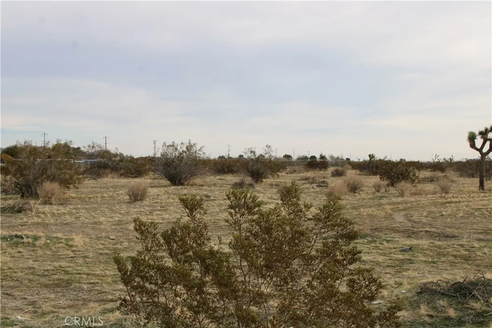 2 E Avenue S2 Sun Village, CA 93543