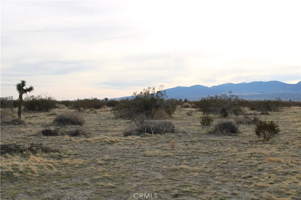 2 E Avenue S2 Sun Village, CA 93543