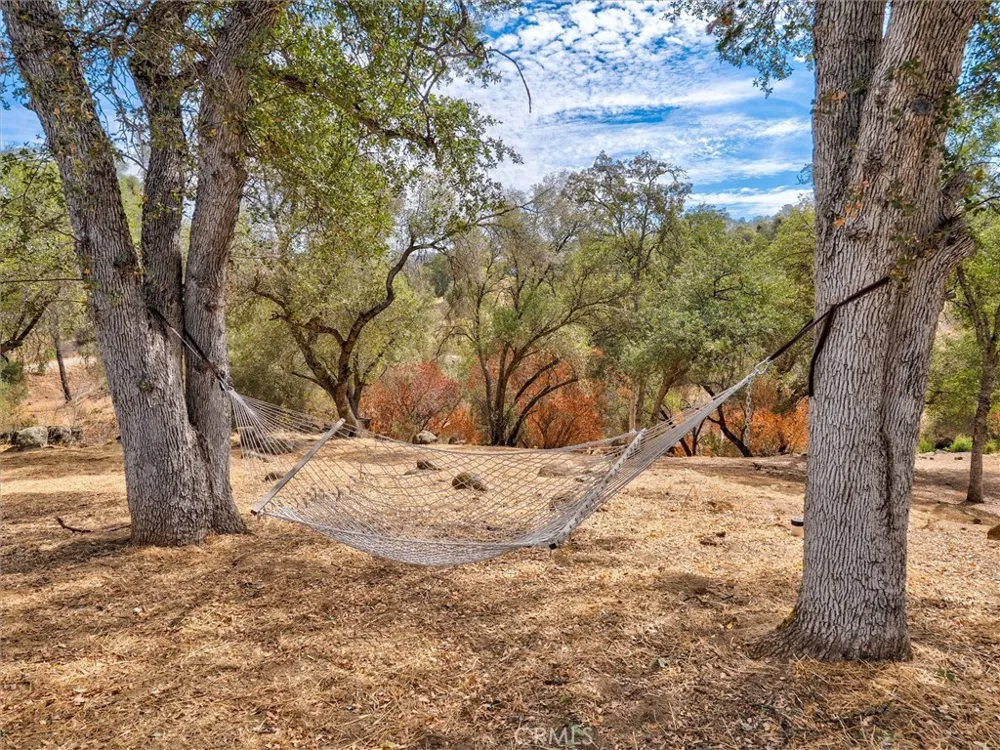 41972 Lilley Mountain Coarsegold, CA 93614