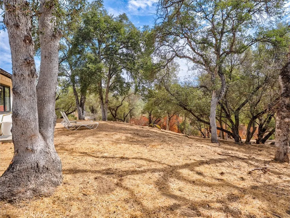 41972 Lilley Mountain Coarsegold, CA 93614