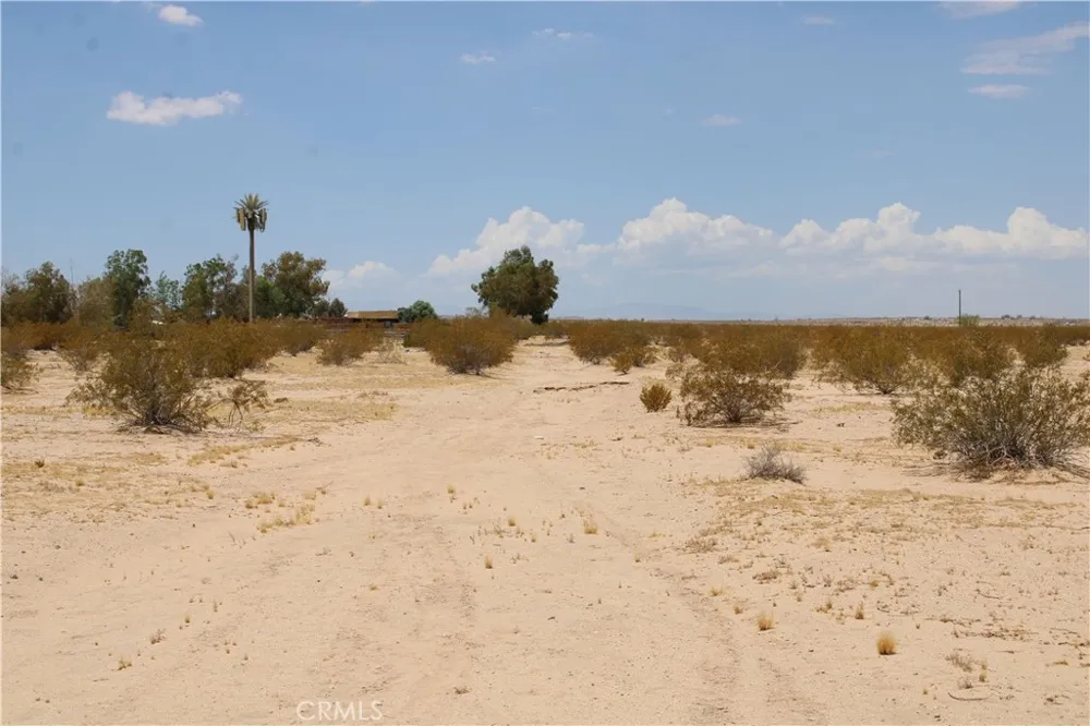 9 Mesquite Springs Road 29 Palms, CA 92277