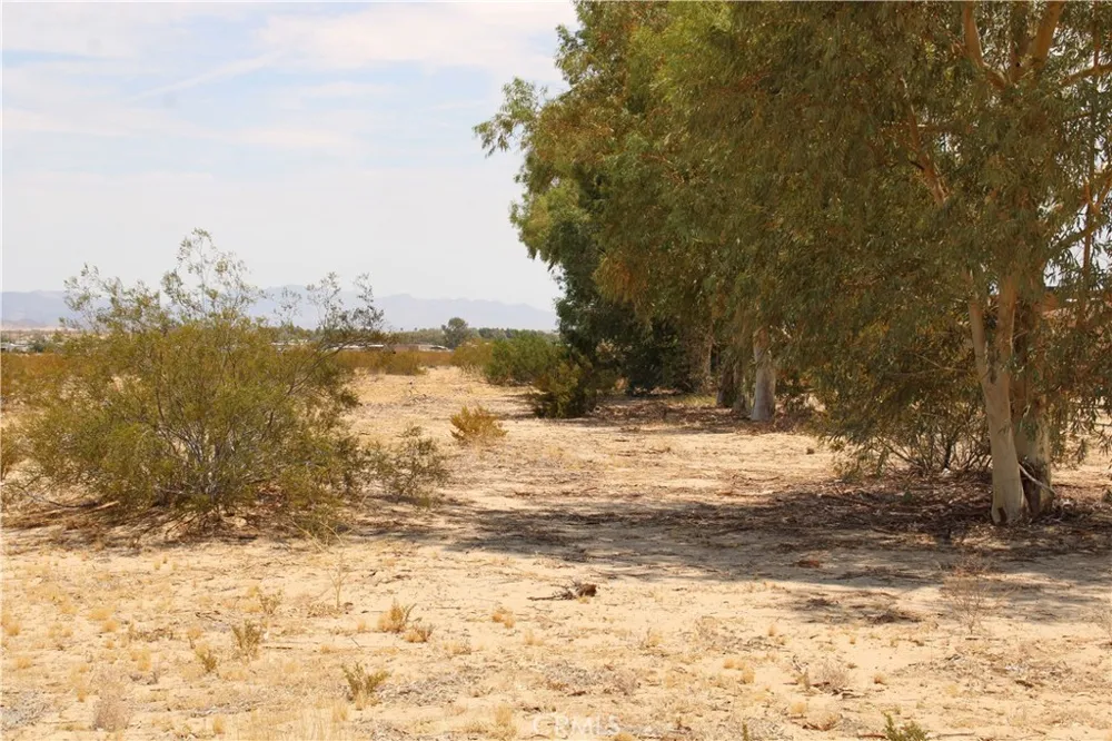 9 Mesquite Springs Road 29 Palms, CA 92277