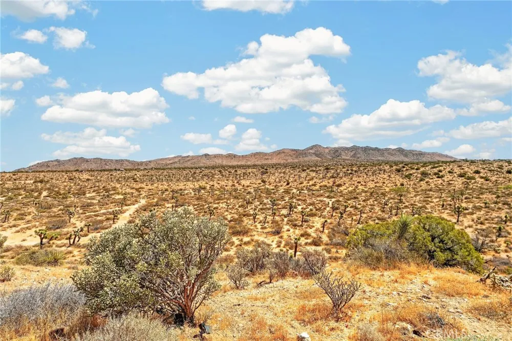 8997 Hermosa Avenue Yucca Valley, CA 92284