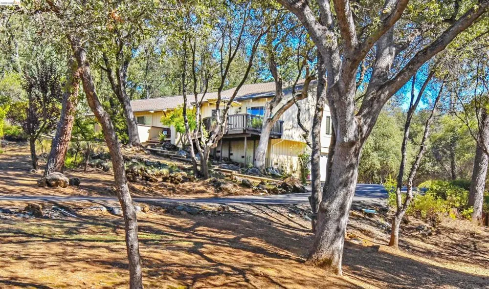 23101 Gold Springs Dr Columbia, CA 95310