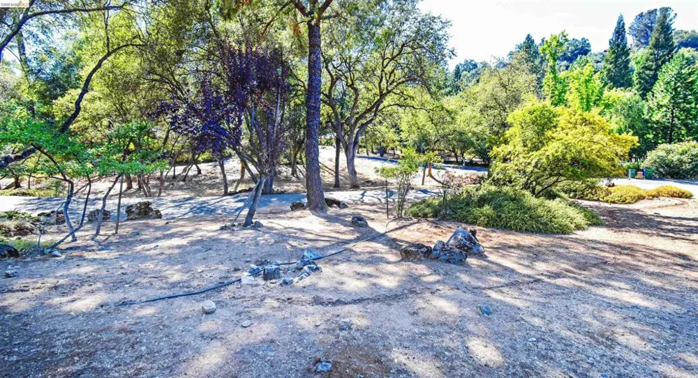 23101 Gold Springs Dr Columbia, CA 95310