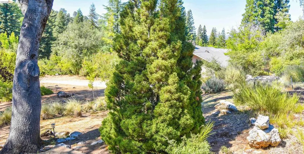 23101 Gold Springs Dr Columbia, CA 95310