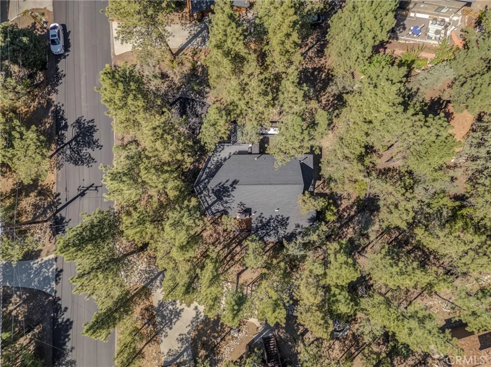 1604 Woodland Drive Pine Mountain Club, CA 93222