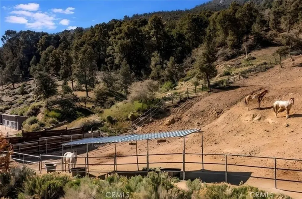 1604 Woodland Drive Pine Mountain Club, CA 93222