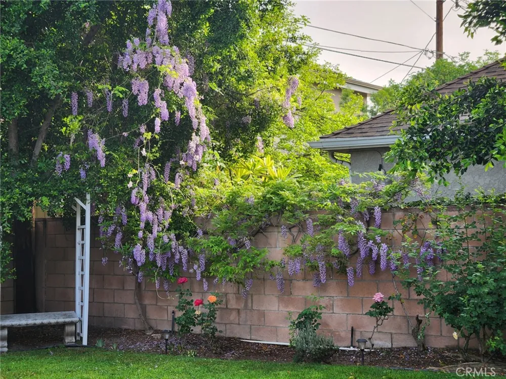 11957 Collins Street Valley Village, CA 91607