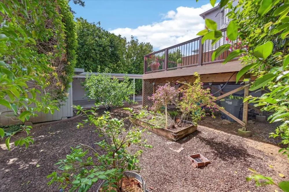 3723 Alameda De Las Pulgas Menlo Park, CA 94025