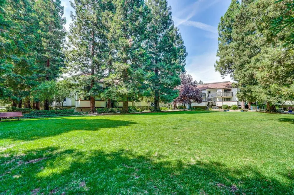 716 San Conrado Terrace #8 Sunnyvale, CA 94085