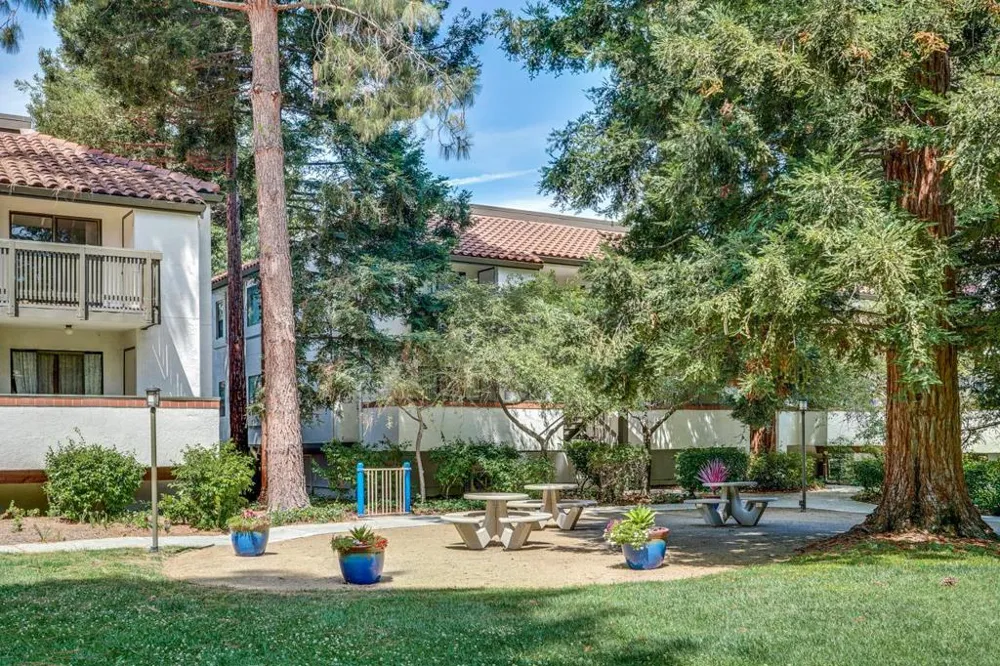 716 San Conrado Terrace #8 Sunnyvale, CA 94085