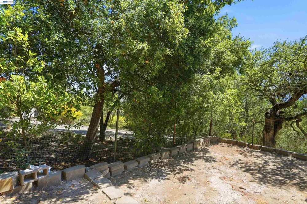 506 Oakshire Pl Alamo, CA 94507