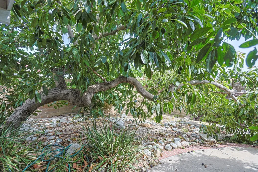 16404 Ponderosa St. Fountain Valley, CA 92708