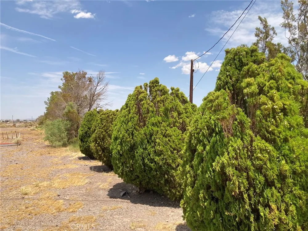 46822 Magney Newberry Springs, CA 92365