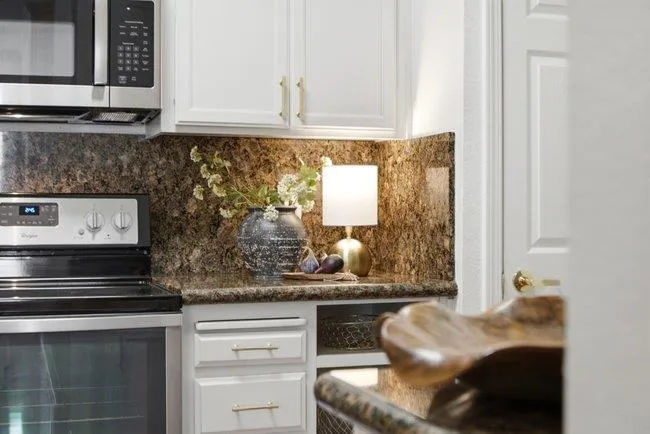 250 Santa Fe Terrace #123 Sunnyvale, CA 94085