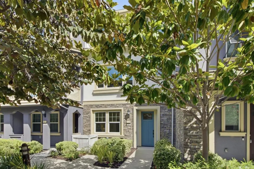 113 Lemmon Terrace Sunnyvale, CA 94086