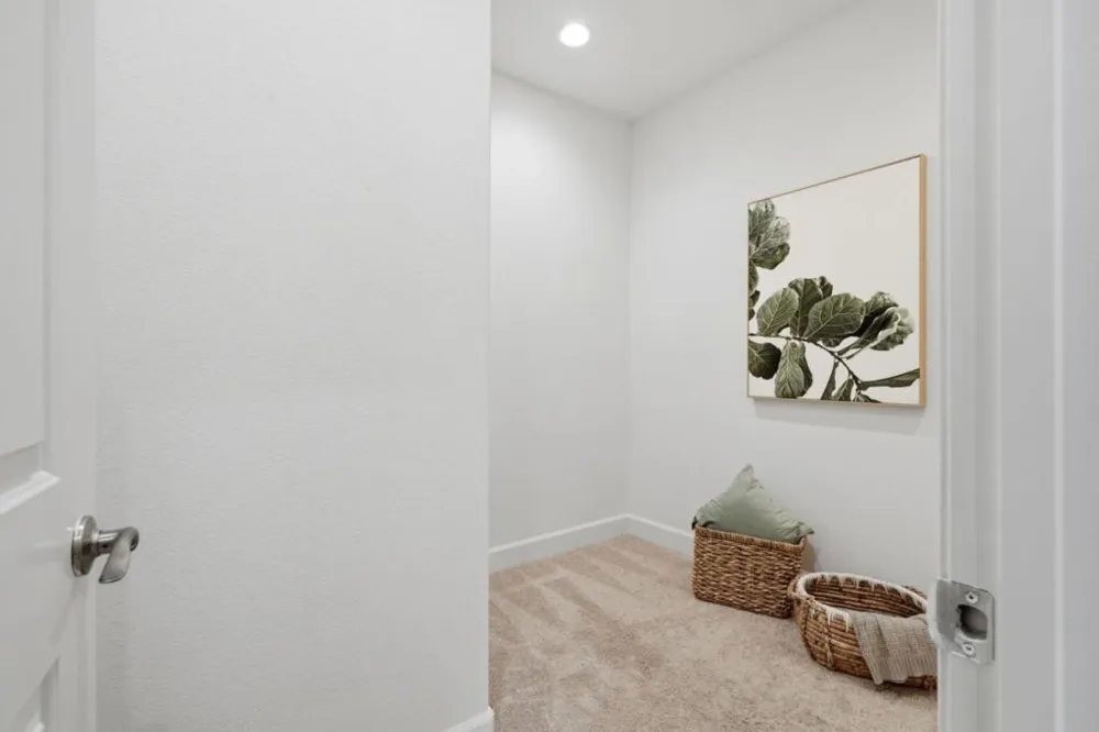 113 Lemmon Terrace Sunnyvale, CA 94086