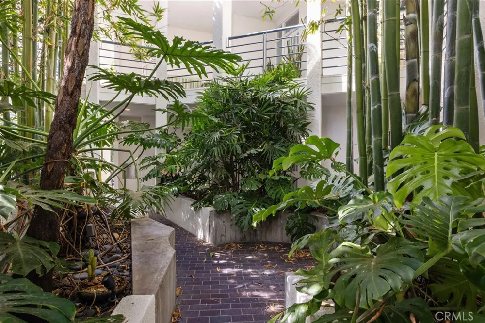 3019 3rd Street #202 Santa Monica, CA 90405
