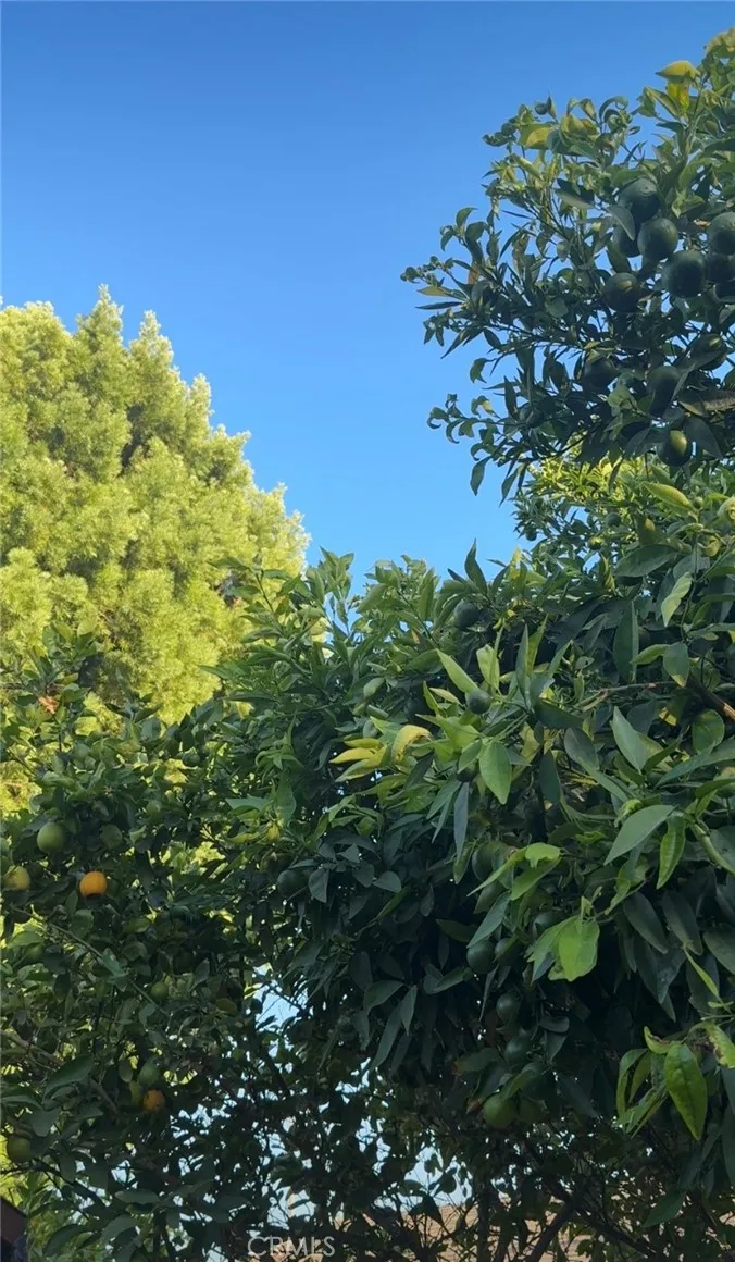 11647 Balboa Boulevard Granada Hills, CA 91344