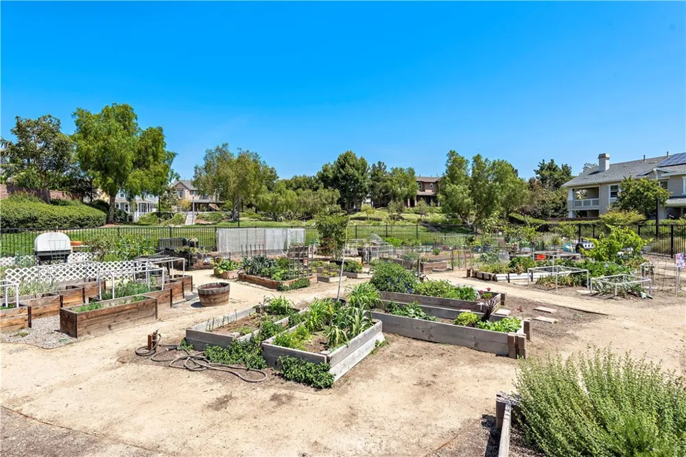29 Bushwood Ladera Ranch, CA 92694