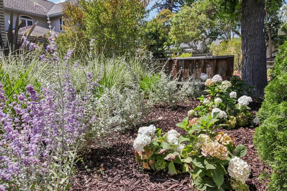 2280 Saint Francis Drive Palo Alto, CA 94303