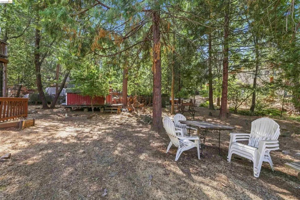 18805 BROADHURST DR Twain Harte, CA 95383
