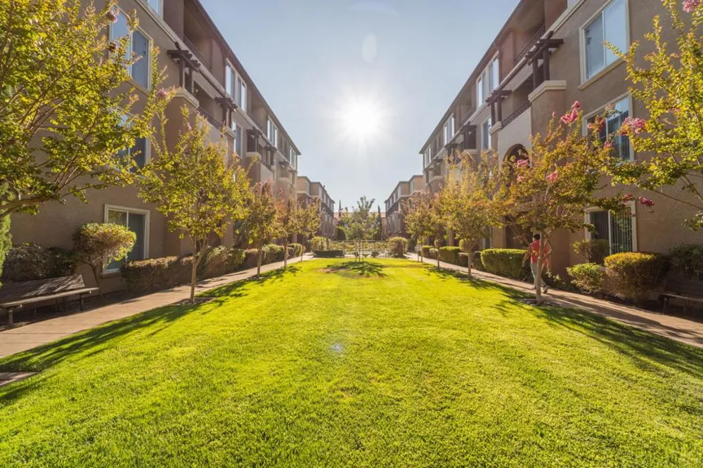 801 S Winchester Boulevard #6203 San Jose, CA 95128