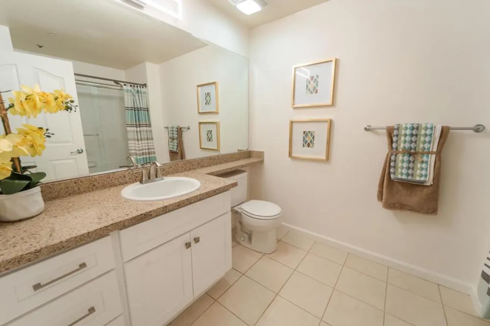 801 S Winchester Boulevard #6203 San Jose, CA 95128