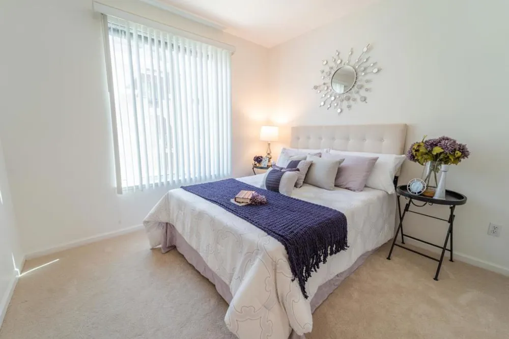 801 S Winchester Boulevard #6203 San Jose, CA 95128
