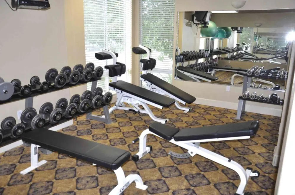 801 S Winchester Boulevard #6203 San Jose, CA 95128