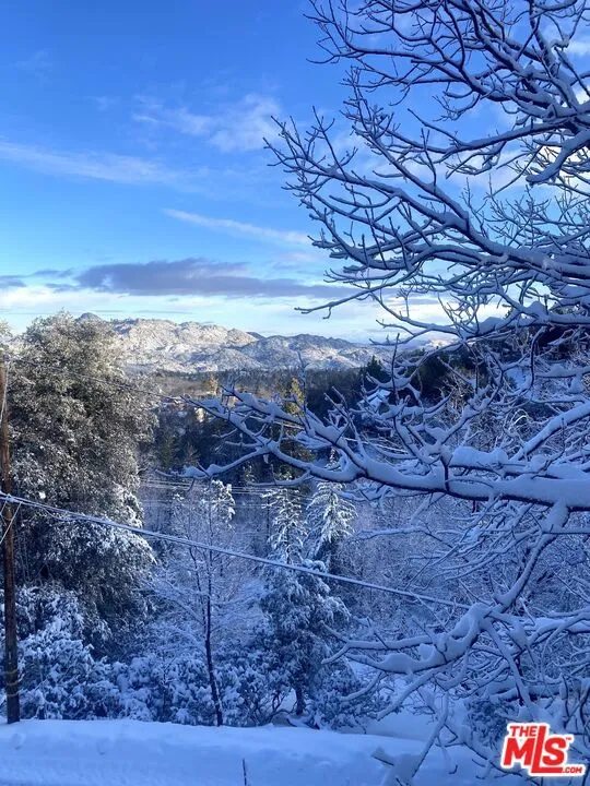 1327 Evergreen Lane Lake Arrowhead, CA 92352