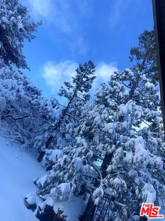1327 Evergreen Lane Lake Arrowhead, CA 92352